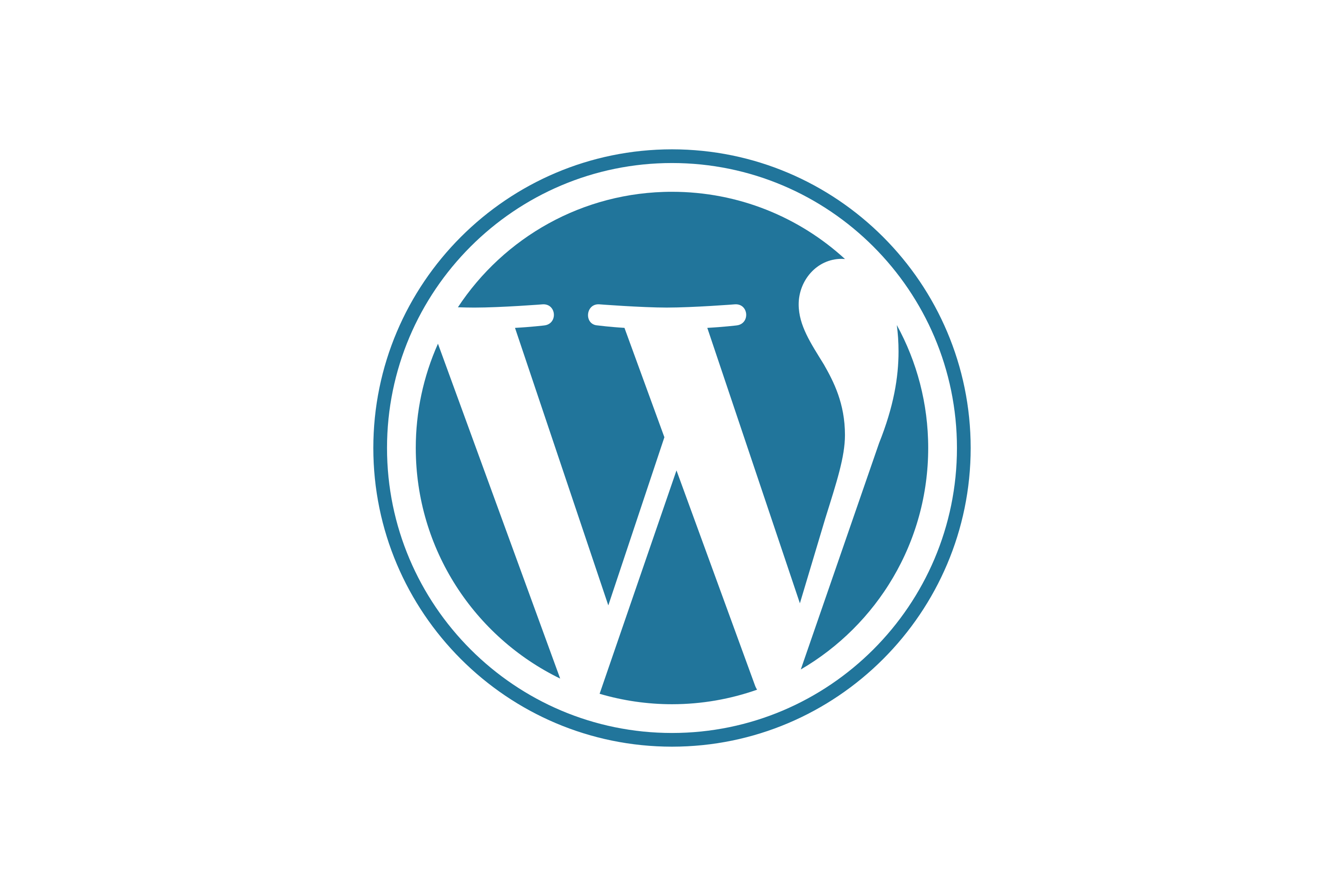 WordPress Plugins
